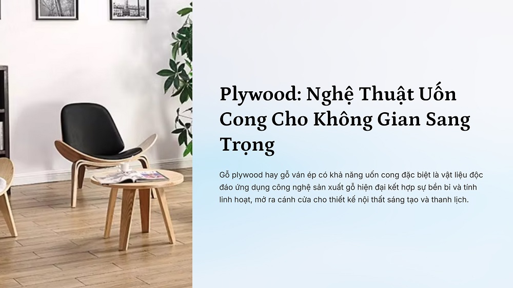 Gỗ plywood chất lượng cao