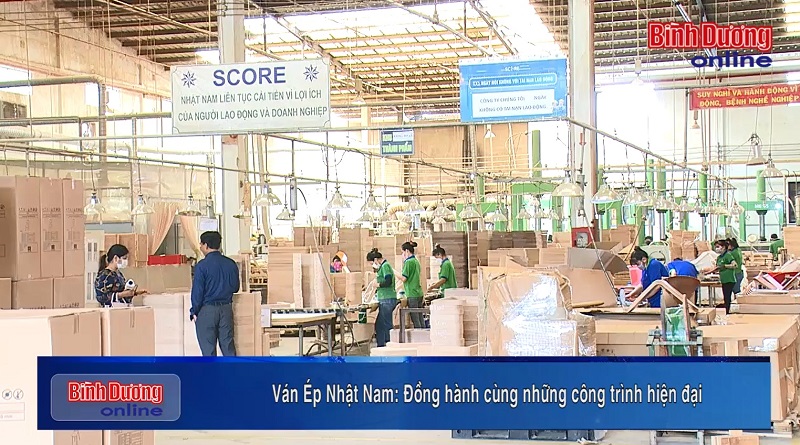 Ván Ép Nhật Nam - Đồng hành cùng những công trình hiện đại