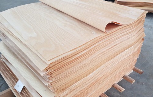 Ván lạng được bóc tách tròn từ thân cây gỗ ứng dụng cho sản xuất gỗ plywood chất lượng cao